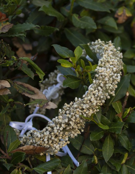 Tocado Paniculata blanca