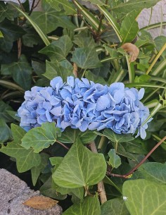 Tocado azul pastel 2